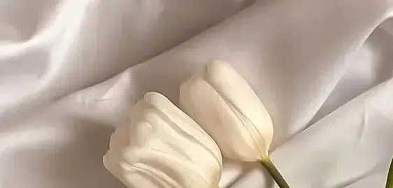 Feetchic