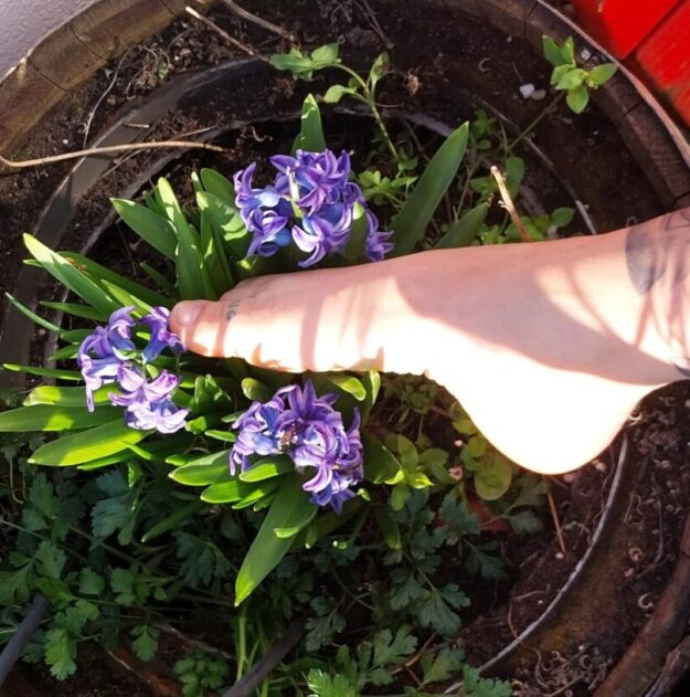 FlexyToes