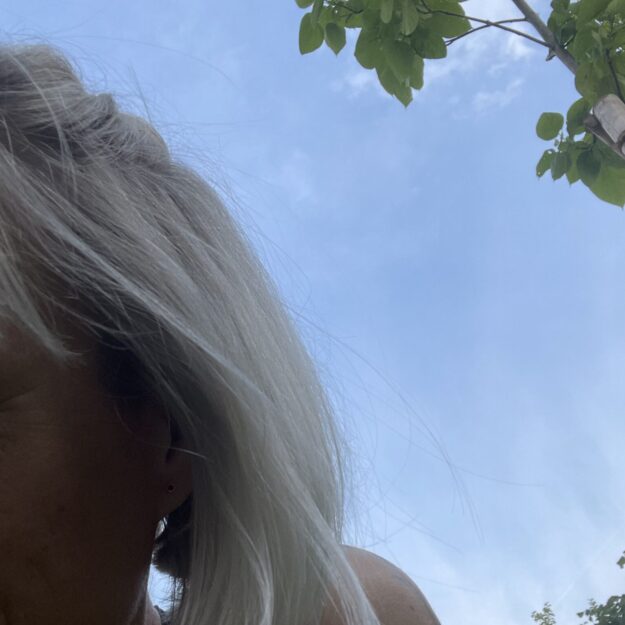 Freeladybird