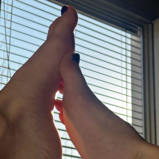 VelvetBloom