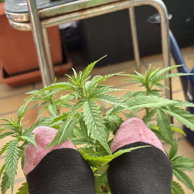 Fußmarie420